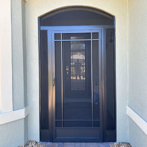 Screen front lanai in Davenport.