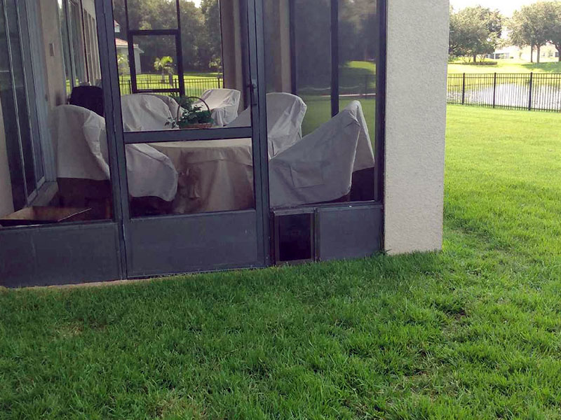 Screen enclosures. Screening a lanai. Screen enclosures near me. Sunrooms Orlando Florida. Poop Lanai. Sunroom Orlando fl. Lanai Patio enclosure. Patio enclosure suppliers. Patio cover with screen. Pool enclosure florida. patio cover screen. florida screened in porch. screen patio covers. pool screen enclosures florida. screen pool enclosures florida. patio screen enclosures near me. florida porches