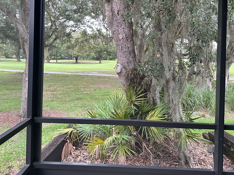 Screen enclosures. Screening a lanai. Screen enclosures near me. Sunrooms Orlando Florida. Poop Lanai. Sunroom Orlando fl. Lanai Patio enclosure. Patio enclosure suppliers. Patio cover with screen. Pool enclosure florida. patio cover screen. florida screened in porch. screen patio covers. pool screen enclosures florida. screen pool enclosures florida. patio screen enclosures near me. florida porches