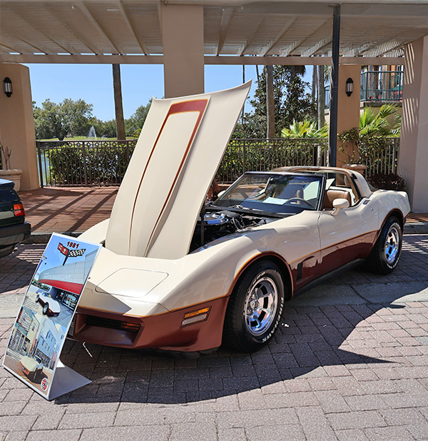 Solivita annual car show rare two-tone 1981 chevy corvette c3 on display. MD construction sponsoring this annual car show as a red corporate sponsor.